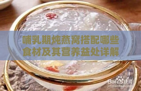 哺乳期炖燕窝搭配哪些食材及其营养益处详解