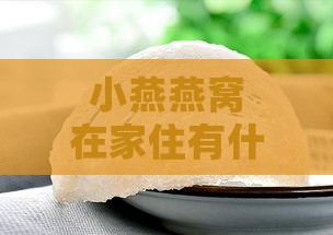 小燕燕窝在家住有什么好