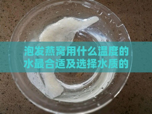 泡发燕窝用什么温度的水最合适及选择水质的建议