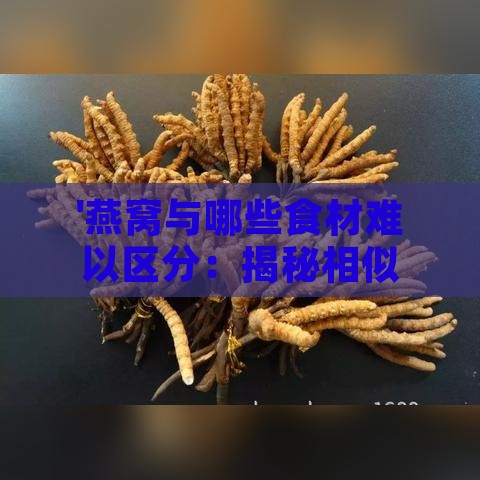 '燕窝与哪些食材难以区分：揭秘相似度极高的替代品'