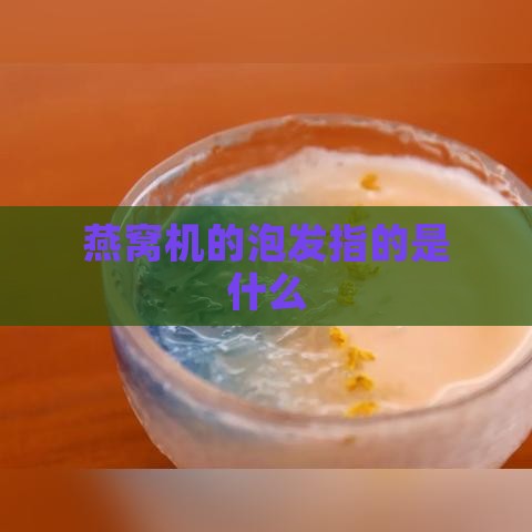 燕窝机的泡发指的是什么