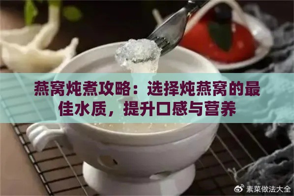 燕窝炖煮攻略：选择炖燕窝的更佳水质，提升口感与营养