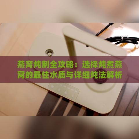 燕窝炖制全攻略：选择炖煮燕窝的更佳水质与详细炖法解析