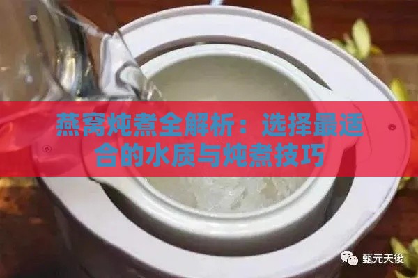 燕窝炖煮全解析：选择最适合的水质与炖煮技巧