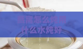 燕窝怎么炖用什么水炖好