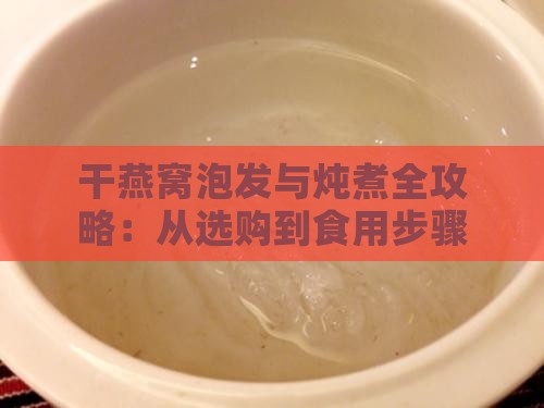 干燕窝泡发与炖煮全攻略：从选购到食用步骤详解