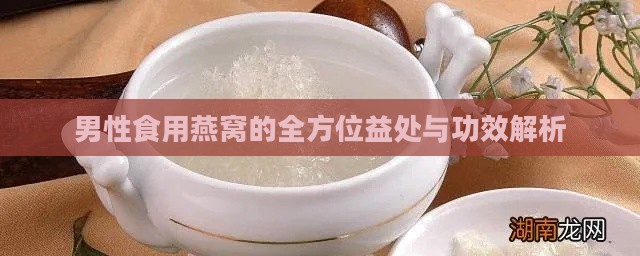 男性食用燕窝的全方位益处与功效解析