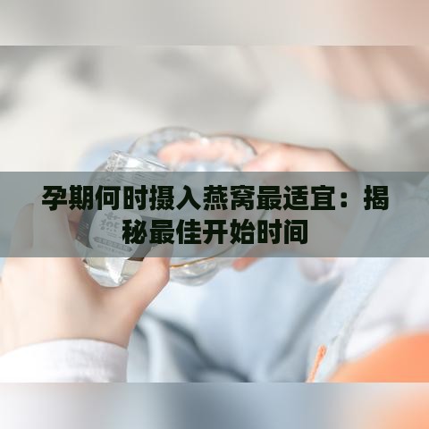 孕期何时摄入燕窝最适宜：揭秘更佳开始时间