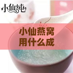 小仙燕窝用什么成份的好