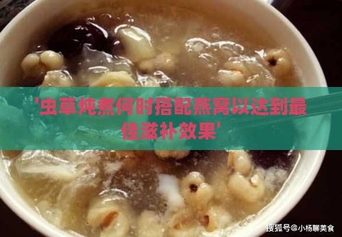 '虫草炖煮何时搭配燕窝以达到更佳滋补效果'