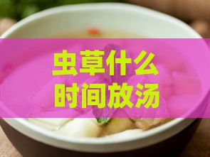 虫草什么时间放汤里更佳：煲汤与食用更佳时机探讨