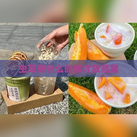 虫草到什么时候才放燕窝