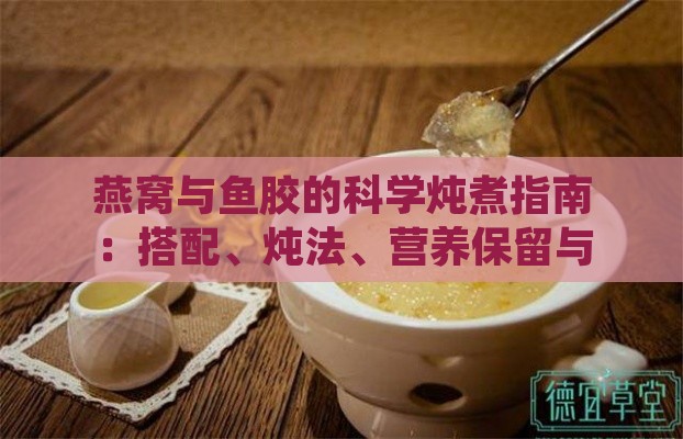 燕窝与鱼胶的科学炖煮指南：搭配、炖法、营养保留与食用建议