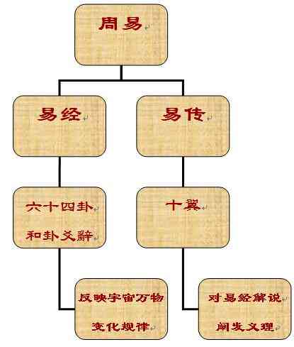 揭秘燕窝成分与形成过程：燕窝如何构成及其自然生成原理