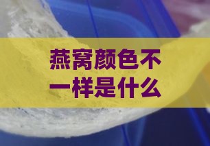 燕窝颜色不一样是什么原因？探讨燕窝色泽差异的原因及影响