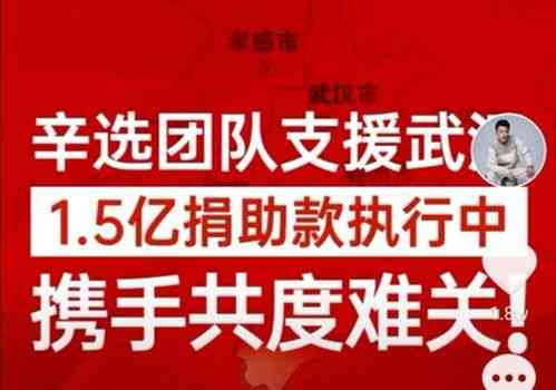 辛巴燕窝：全面揭秘其质量问题与消费者权益保护