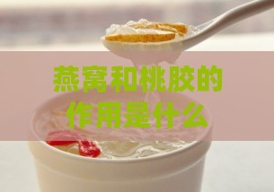 燕窝和桃胶的作用是什么