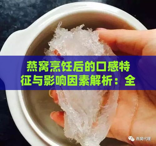 燕窝烹饪后的口感特征与影响因素解析：全方位了解燕窝熟食体验