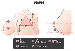 燕窝食用后胸部不适：探究胸胀痛的可能成因