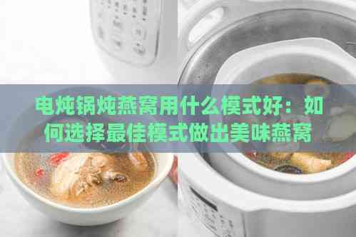 电炖锅炖燕窝用什么模式好：如何选择更佳模式做出美味燕窝