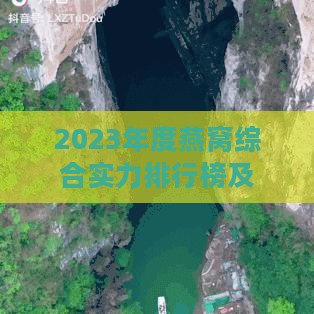 2023年度燕窝综合实力排行榜及消费者口碑指南