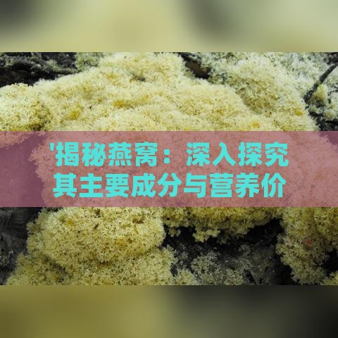 '揭秘燕窝：深入探究其主要成分与营养价值'