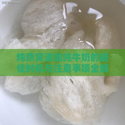 炖燕窝添加纯牛奶的更佳时机与注意事项全解析