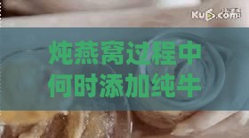 炖燕窝过程中何时添加纯牛奶以提升口感与营养