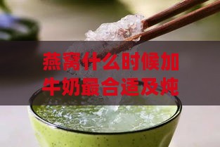 燕窝什么时候加牛奶最合适及炖煮时机探讨