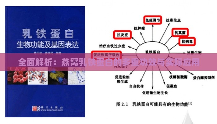 全面解析：燕窝乳铁蛋白的多重功效与实际应用