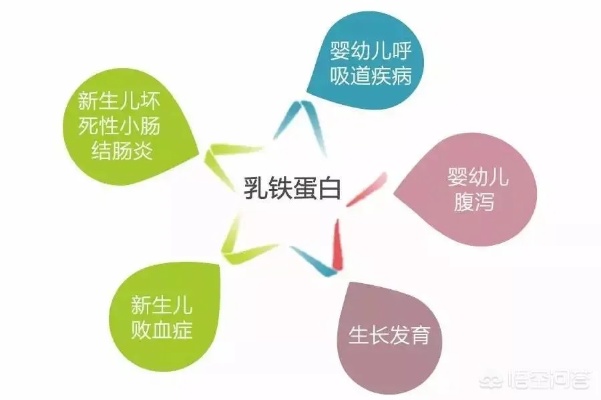 全面解析：燕窝乳铁蛋白的多重功效与实际应用