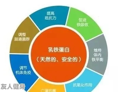 全面解析：燕窝乳铁蛋白的多重功效与实际应用