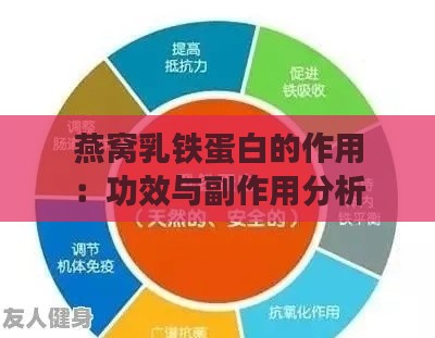 燕窝乳铁蛋白的作用：功效与副作用分析及粉剂特点解析