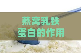 燕窝乳铁蛋白的作用：功效与副作用分析及粉剂特点解析