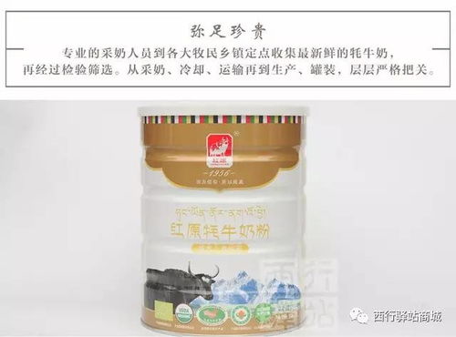 '高含量燕窝乳铁蛋白营养补充粉'