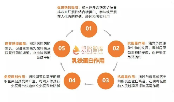 深入了解燕窝酸乳铁蛋白：功效、作用与适用人群全解析