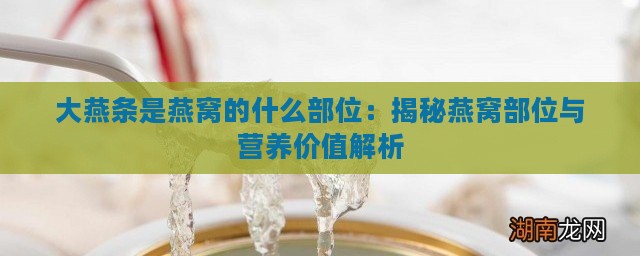 大燕条是燕窝的什么部位：揭秘燕窝部位与营养价值解析