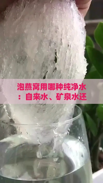 泡燕窝用哪种纯净水：自来水、矿泉水还是纯净水？