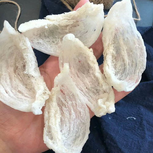 燕窝什么时候用的更好呢：燕窝更佳食用时间探讨