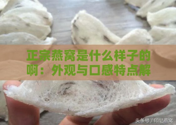 正宗燕窝是什么样子的啊：外观与口感特点解析