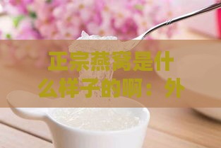 正宗燕窝是什么样子的啊：外观与口感特点解析