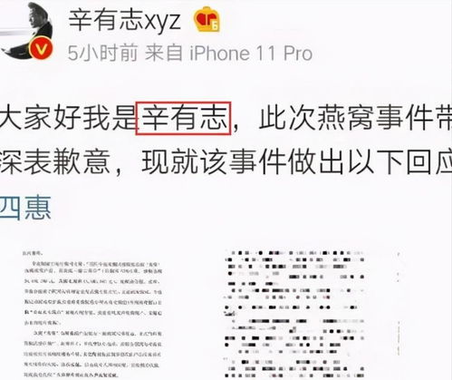 探究燕窝销售高手：揭秘卖燕窝嫂子的魅力名字及成功秘诀