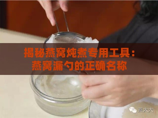 揭秘燕窝炖煮专用工具：燕窝漏勺的正确名称