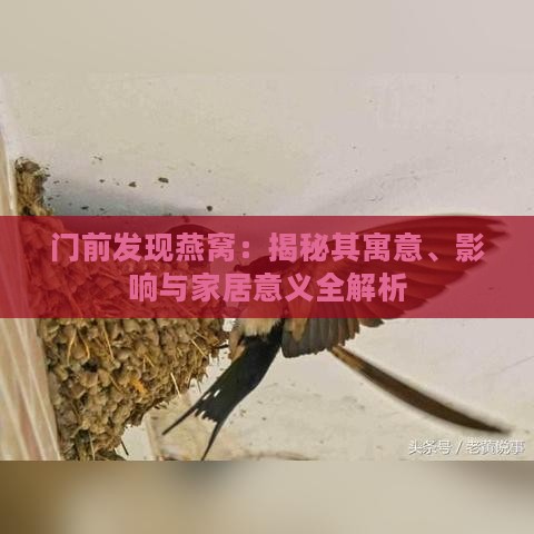 门前发现燕窝：揭秘其寓意、影响与家居意义全解析