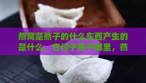 燕窝是燕子的什么东西产生的是什么，它位于燕子哪里，燕窝具体是什么样的？