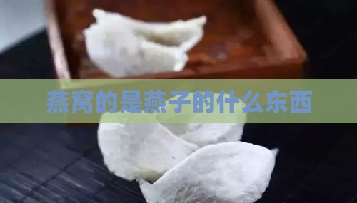 燕窝的是燕子的什么东西