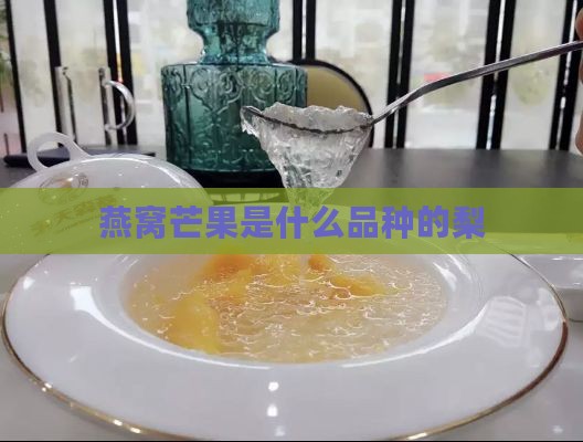 燕窝芒果是什么品种的梨