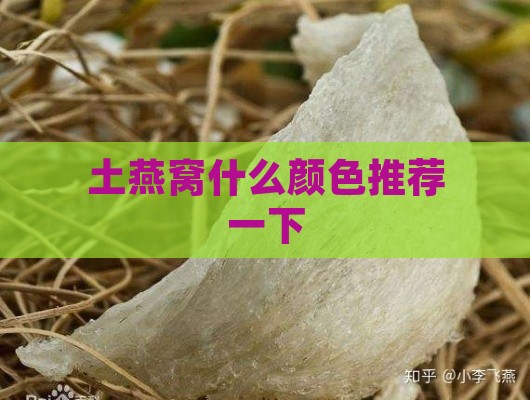 土燕窝什么颜色推荐一下