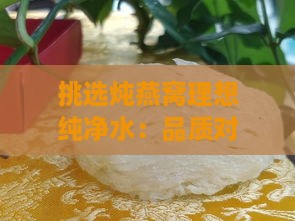 挑选炖燕窝理想纯净水：品质对比与推荐指南