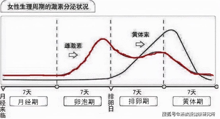 女性养生：燕窝断食的更佳时机与女生生理周期结合指南